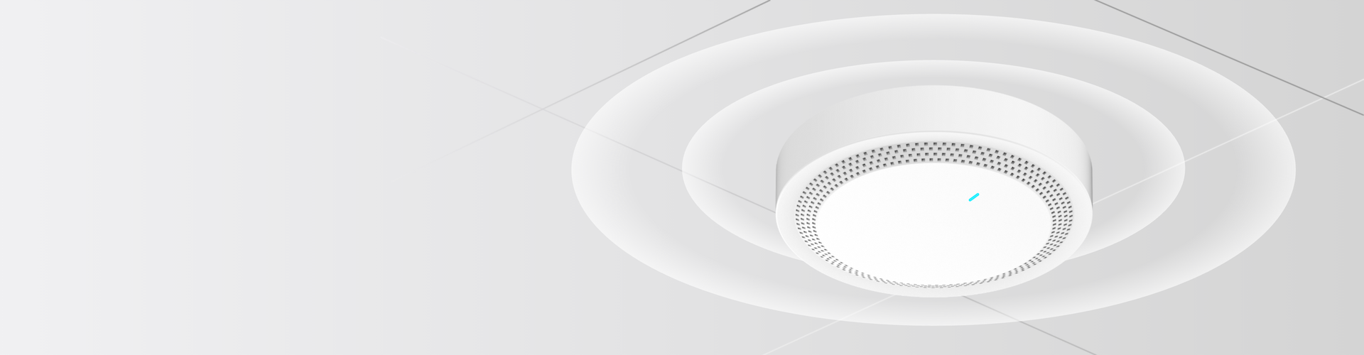 router